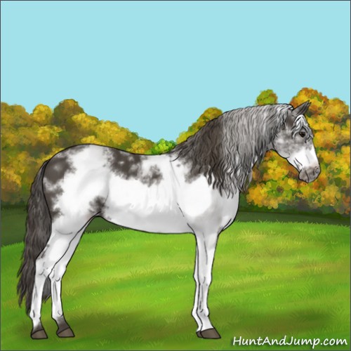 Horse Color:White Spotted Smoky Black Frame 