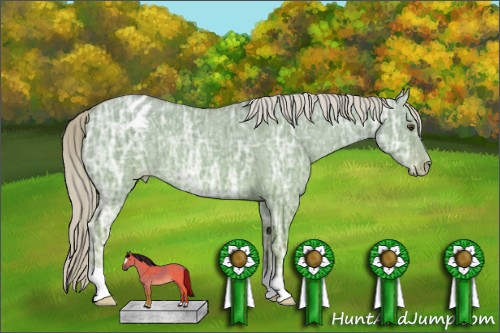 Horse Color:Palomino Ice Dun Appaloosa 