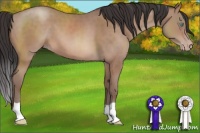 Horse Color:Sable Champagne