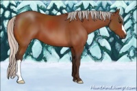 Horse Color:Silver Bay 