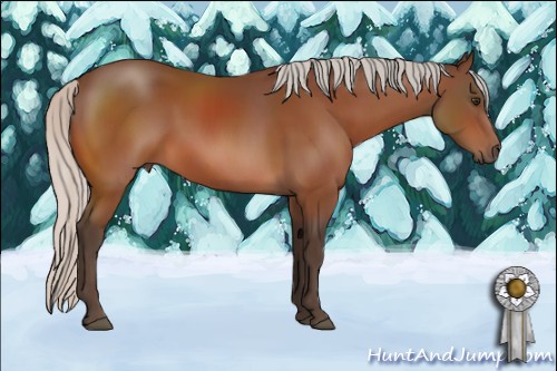 Horse Color:Silver Brown