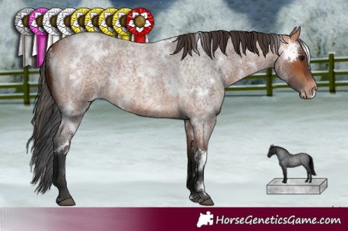 Horse Color:White Spotted Bay Roan Varnish 