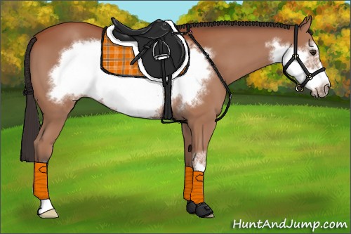 Horse Color:Bay Sabino Frame 