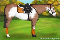 Horse Color:Bay Sabino Frame
