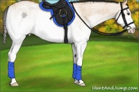 Horse Color:White Spotted Bay Dun Splash 