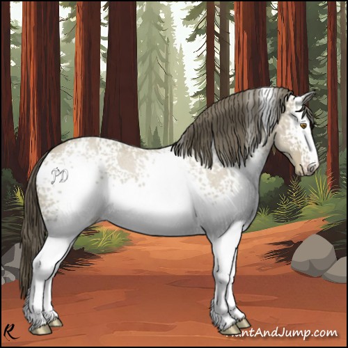 Horse Color:White Spotted Classic Cream Champagne Roan