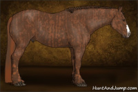 Horse Color:Chestnut and Gray Chestnut
