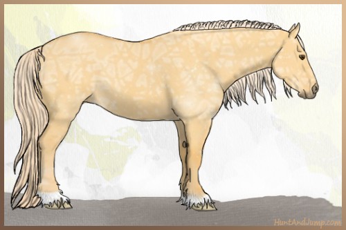 Horse Color:Palomino Ice Dun 