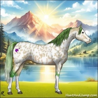 Horse Color:Watercolor Bay Dun Splash Appaloosa 