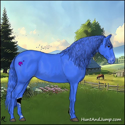 Horse Color:Watercolor Black Appaloosa