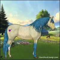 Horse Color:Watercolor Bay Roan 