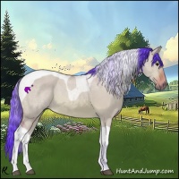 Horse Color:Watercolor Bay Dun Tobiano 