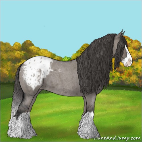 Horse Color:Grullo Roan Splash Appaloosa 