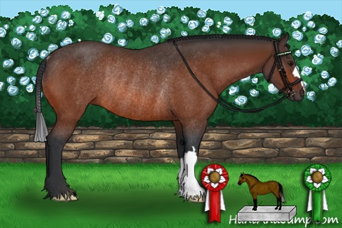 Horse Color:Bay Rabicano 