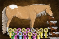 Horse Color:Palomino Appaloosa