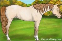 Horse Color:Bay Roan Pearl Dun