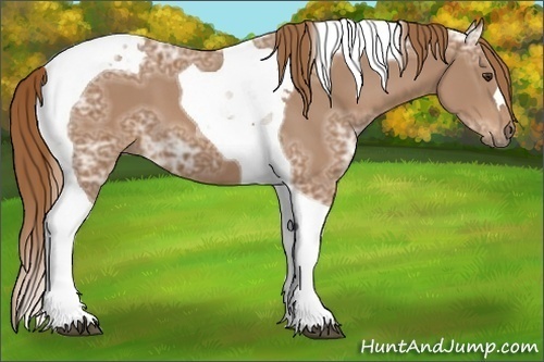 Horse Color:Chestnut Ice Tobiano