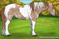 Horse Color:Chestnut Ice Tobiano 