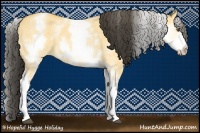 Horse Color:White Spotted Buckskin Dun Rabicano 