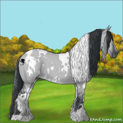 Horse Color:White Spotted Grullo Chinchilla 