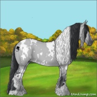 Horse Color:White Spotted Grullo Chinchilla 