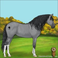 Horse Color:Grullo Chinchilla 