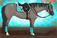 Horse Color:Grullo 