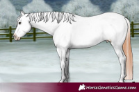 Horse Color:Bay Dun Frame Appaloosa Brindle