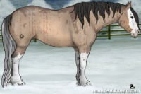 Horse Color:Bay Roan Dun Splash Brindle 