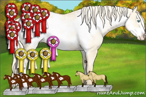 Horse Color:Palomino Pearl Dun Frame Appaloosa Rabicano 