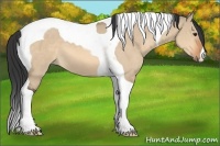 Horse Color:Bay Dun Tobiano 
