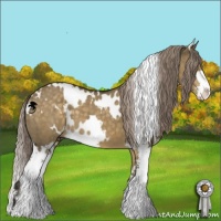 Horse Color:White Spotted Chocolate Palomino Dun Sabino Brindle