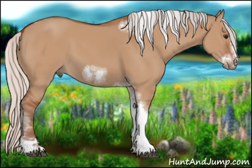 Horse Color:Silver Bay Dun Sabino Tobiano Frame Rabicano
