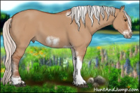 Horse Color:Silver Bay Dun Sabino Tobiano Frame Rabicano 