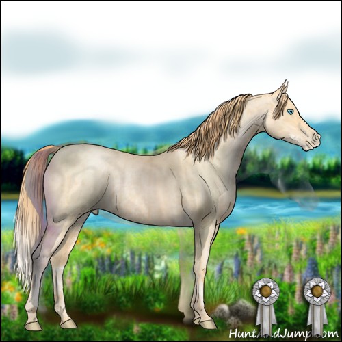 Horse Color:Buckskin Roan Pearl  and Buckskin Roan Pearl 