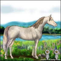 Horse Color:Buckskin Roan Pearl and Buckskin Roan Pearl