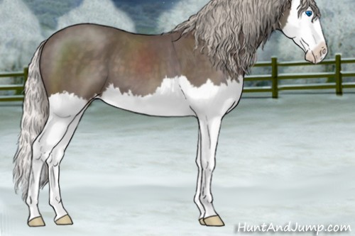 Horse Color:Silver Blue Roan Splash