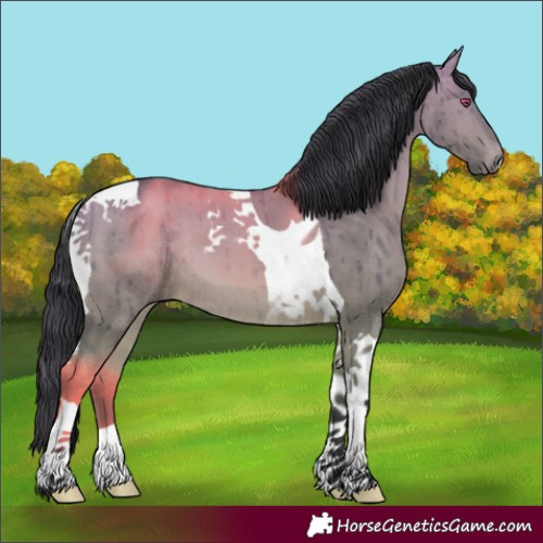 Horse Color:Bay Chinchilla Dun Tobiano Brindle 
