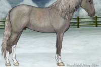 Horse Color:Silver Blue Roan 