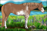 Horse Color:Chestnut Sabino