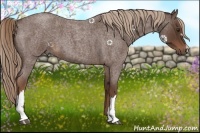 Horse Color:Liver Red Roan 