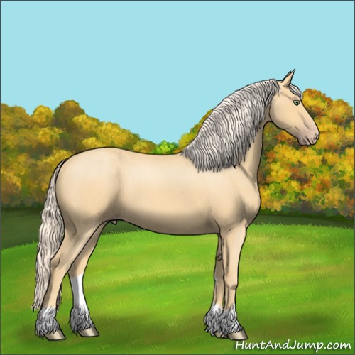 Horse Color:Gold Cream Champagne Roan 