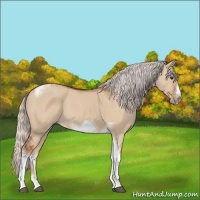 Horse Color:Silver Bay Dun Sabino Tobiano Frame Rabicano