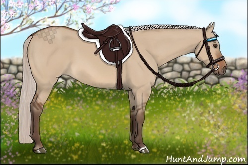 Horse Color:Silver Bay Dun