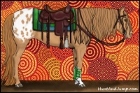 Horse Color:Chestnut Appaloosa