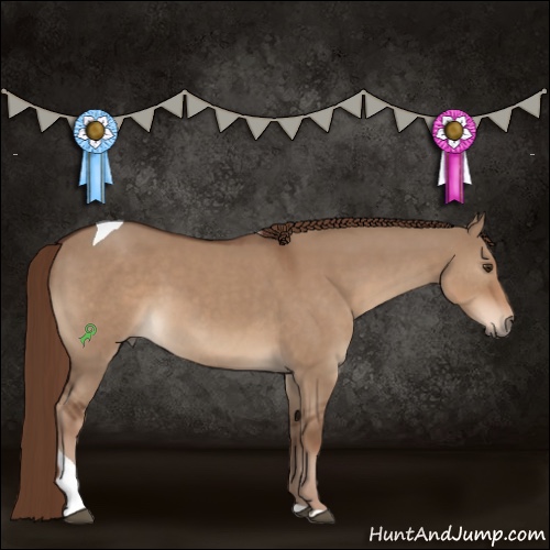 Horse Color:Liver Red Dun Tobiano 