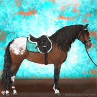 Horse Color:Bay Appaloosa Rabicano 