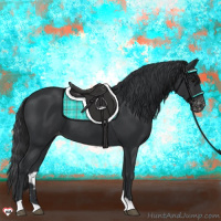 Horse Color:Black Appaloosa 