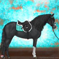 Horse Color:Black Appaloosa