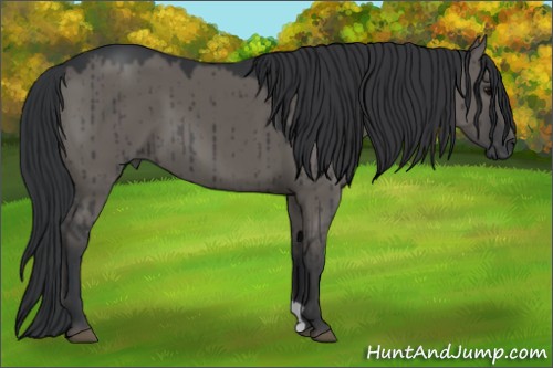 Horse Color:Grullo Brindle 